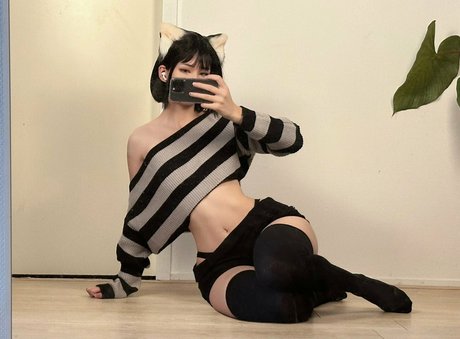 Tanukii Chan