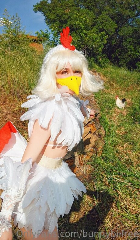 Bunnybiifree