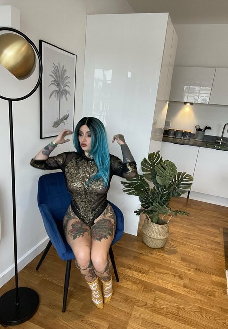 Katsandcrows