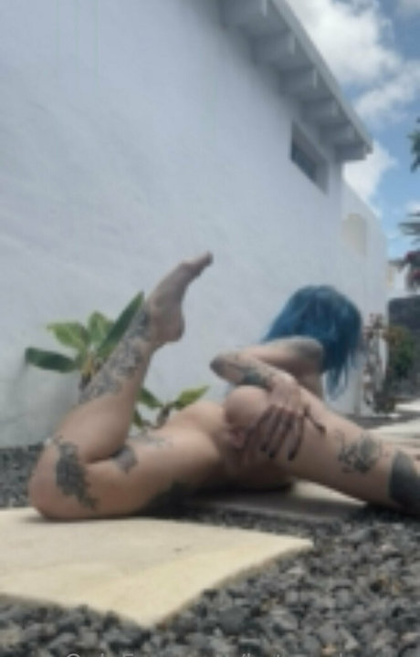 Katsandcrows