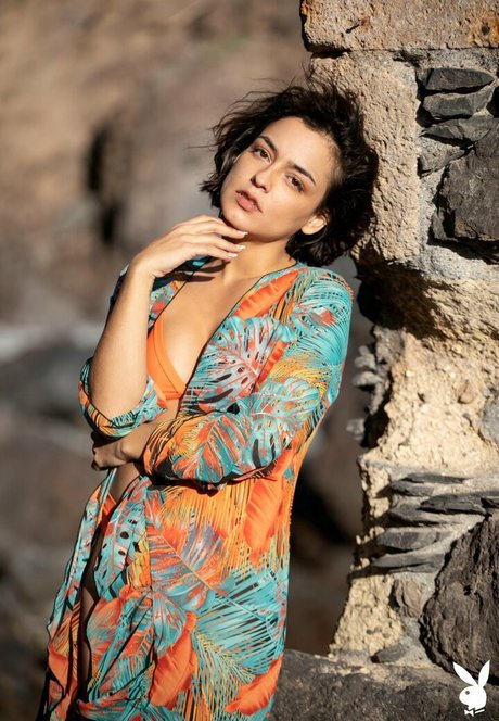 Joy Lamore