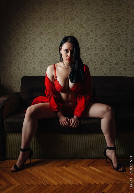 Charmmodels