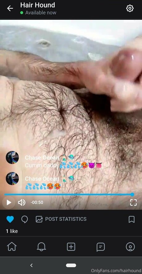 Hairhound