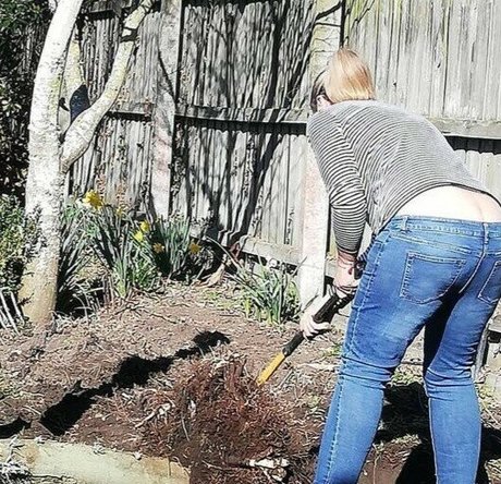 Buttcracks