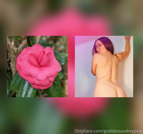 Goddessaudreypine