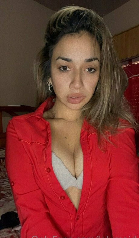 Lelymaid
