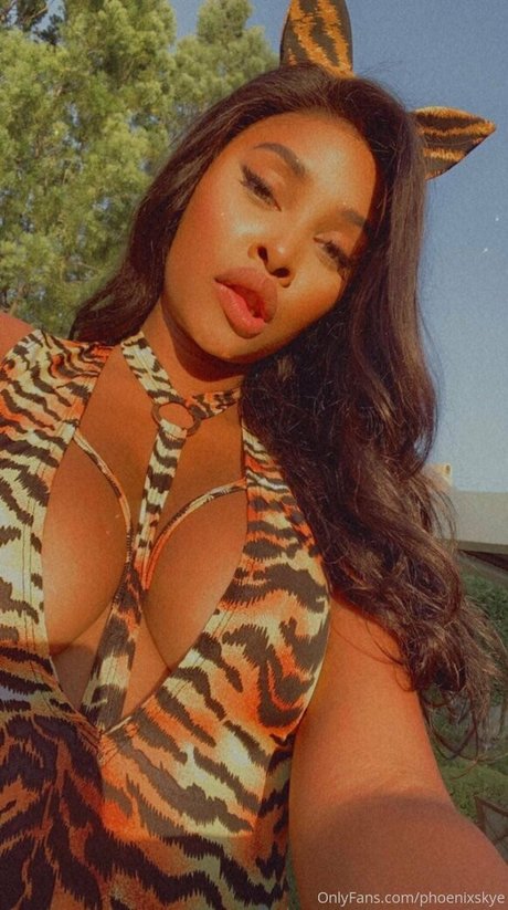 Phoenixskye