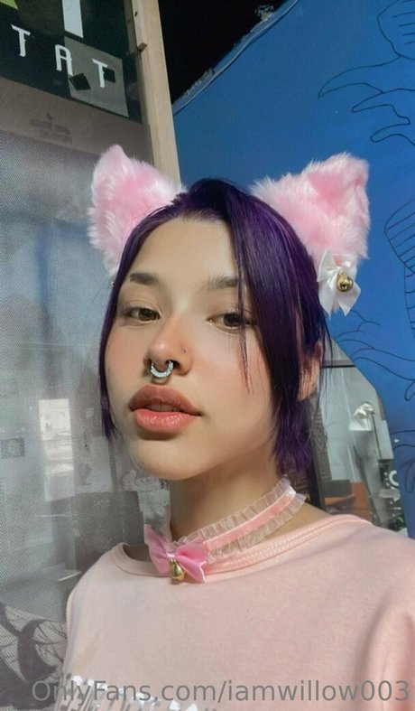 Iamwillow003