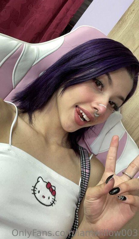 Nahá fotka uniklých OnlyFans od Iamwillow003