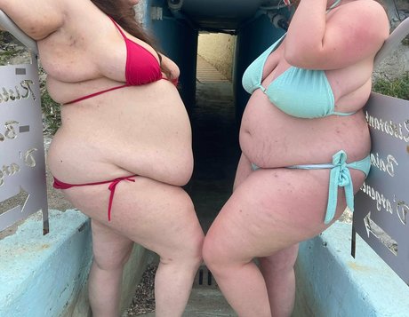 Bbwdemetra