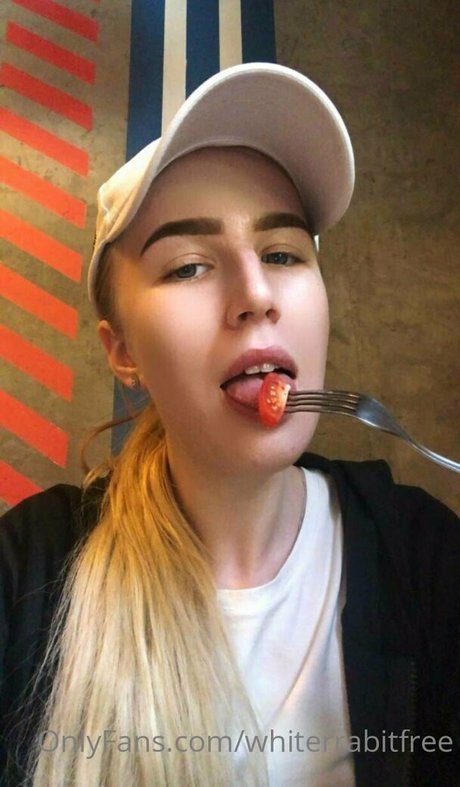 Whiterrabitfree