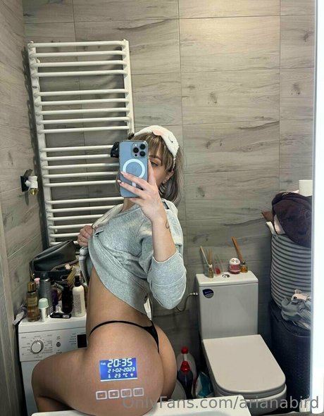 Arianabird