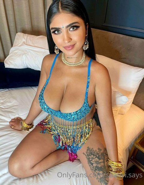 Saanvisays