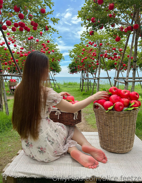 Alicefeetze