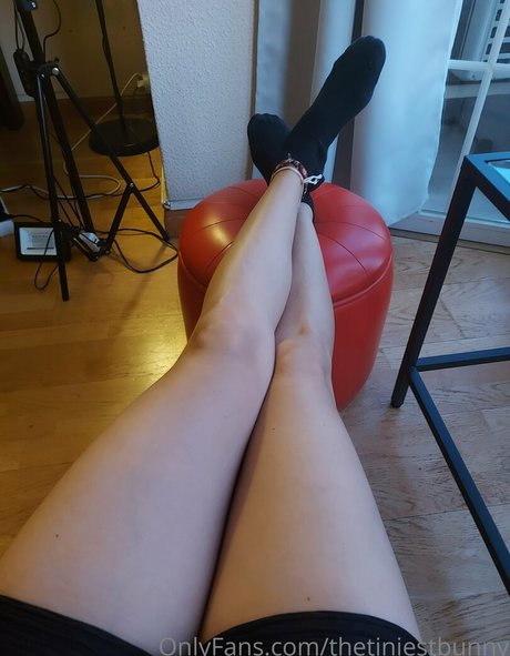 Thetiniestbunny
