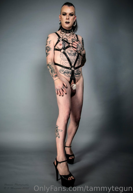 Tammytegun