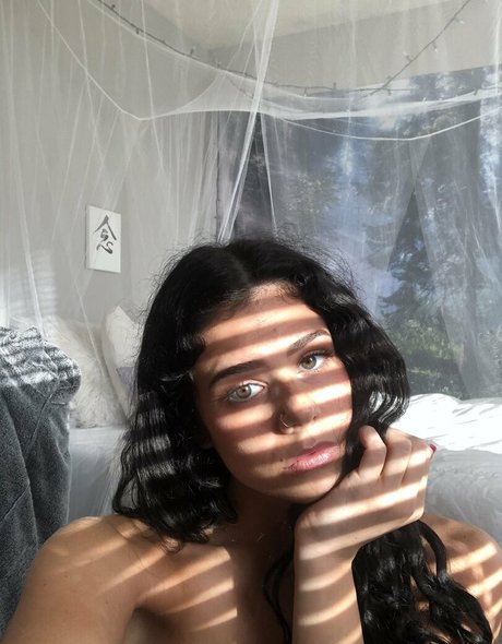 Cassidy17
