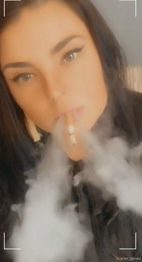 Scarletjames301
