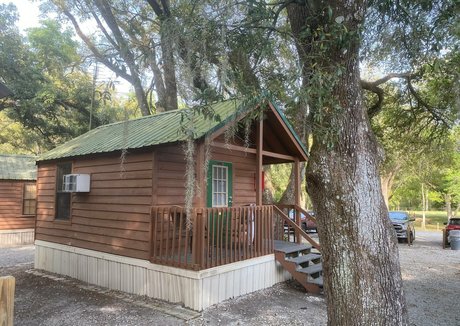 Bearsorlando