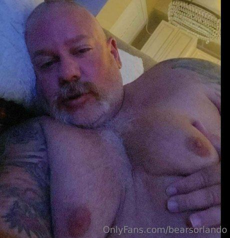 Bearsorlando