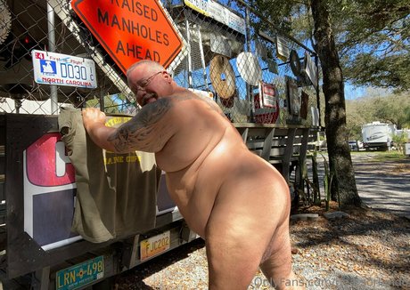Bearsorlando