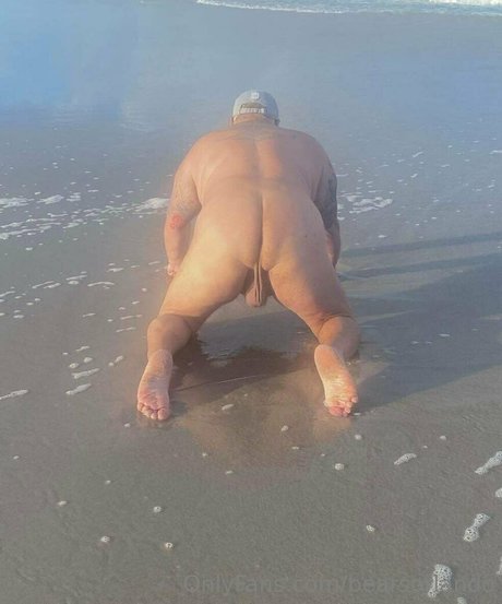 Bearsorlando  nude leaked OnlyFans photo