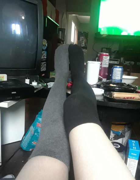 Shygallilly