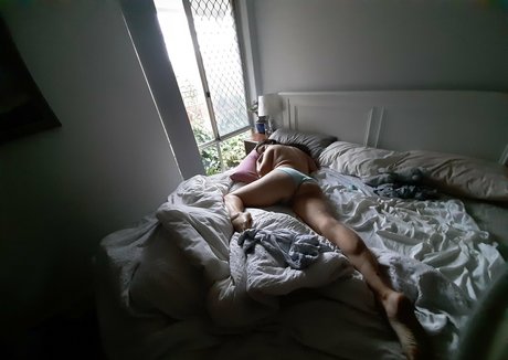 Aussielilyfox