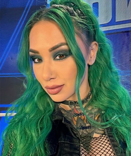Wwe Shotzi