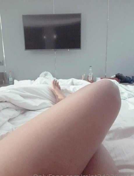 Mint24230694