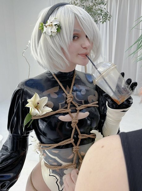 Alcololi