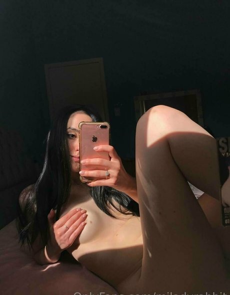 Miladyrabbit