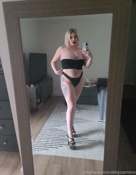 Abbycannons