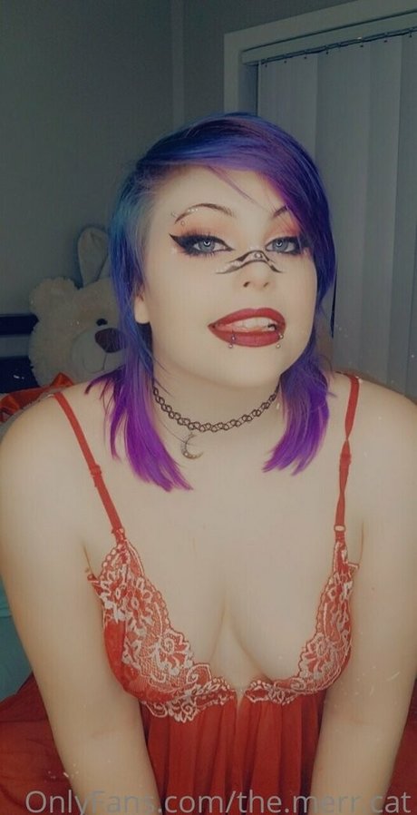 Themerrcat