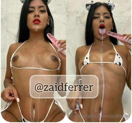 Zaidferrer