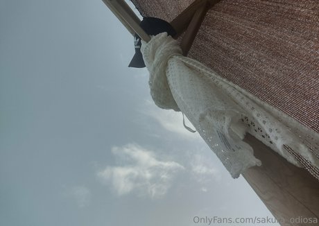Foto nua vazada do OnlyFans de Sakuraodiosa