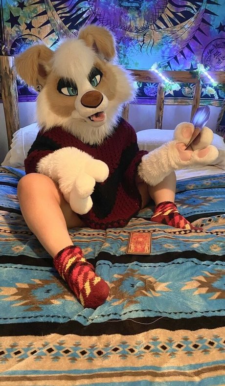 Murrsuit