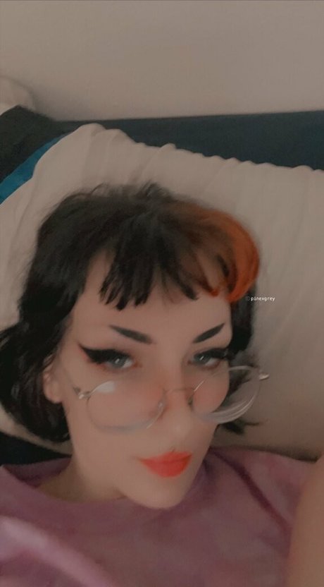 Pinexgrey