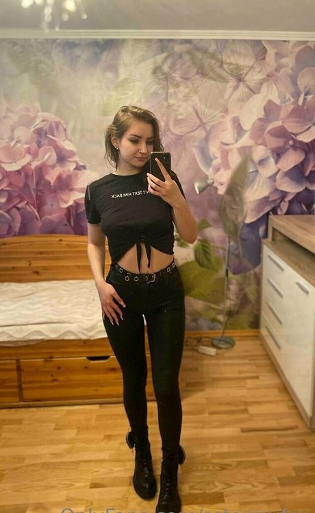 Sstormyfox