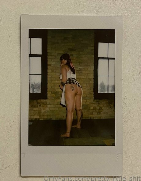 Prettylittleshit