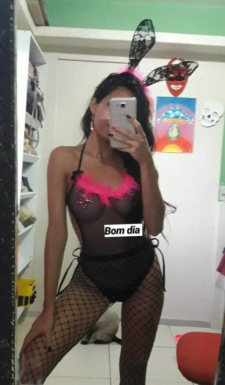 Lari Cogumelos