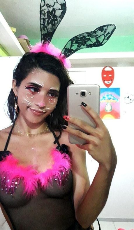 Lari Cogumelos