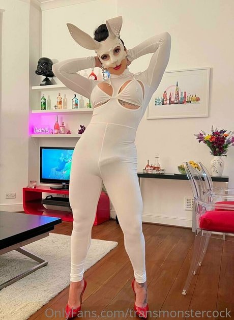 Transmonstercock
