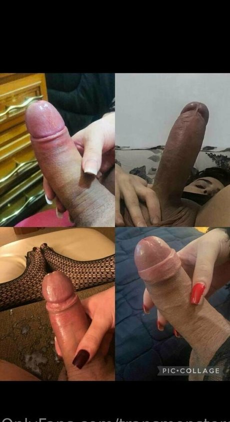 Transmonstercock