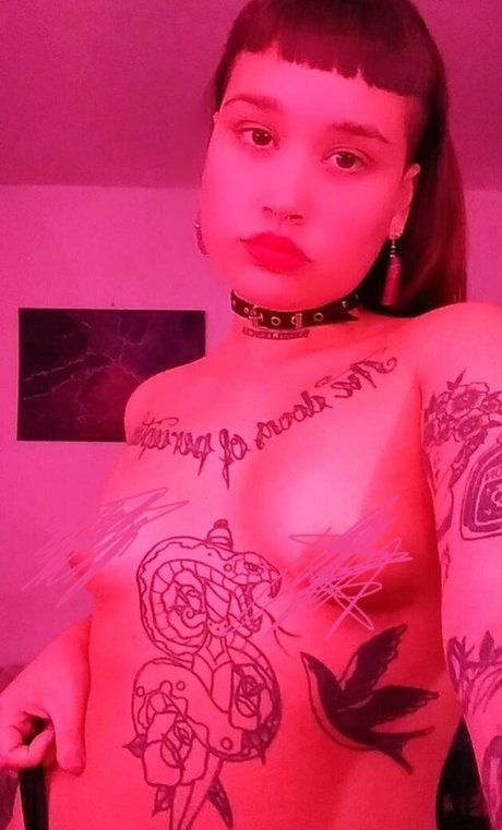 Lasistta