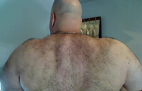 Bullmusclejoe