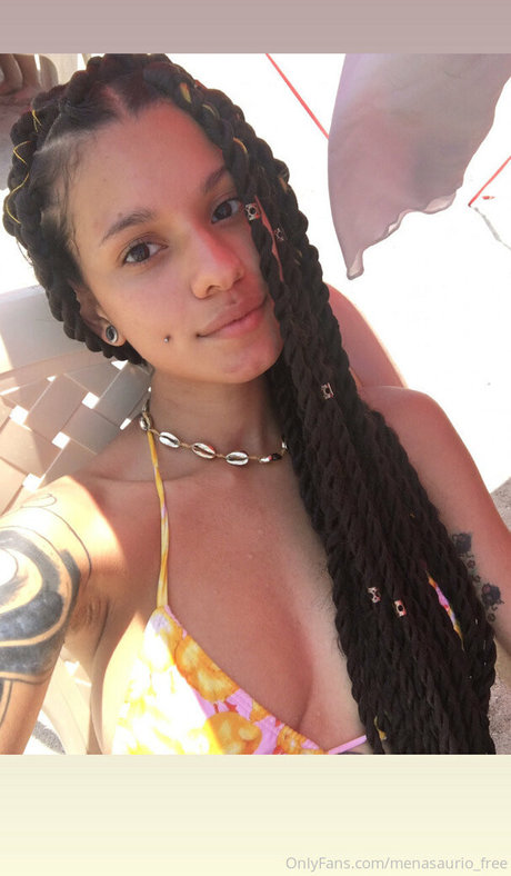 Menasauriofree