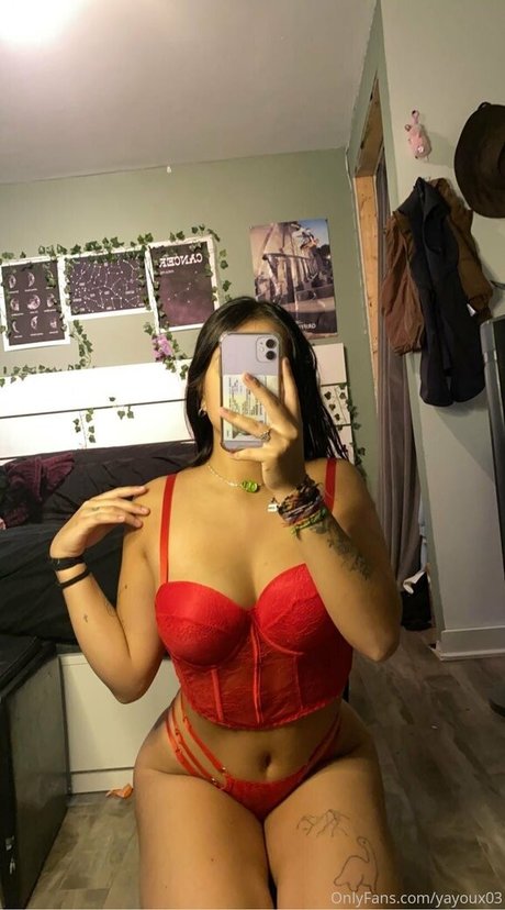 Yayoux03