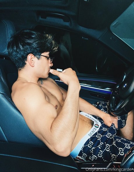 Aedanvip