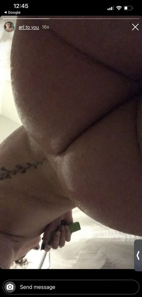 Ariannasinterlude